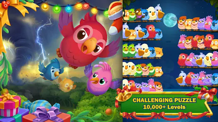 Bird Sort Jam: Color Puzzle Image