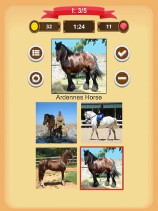 Horse Quiz screenshot