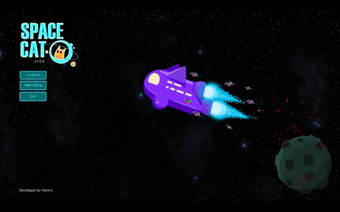 Space Cat Image