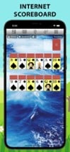 700 Solitaire Games Collection Image