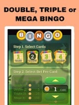 Bingo Live New Image