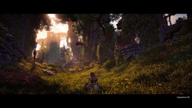 Horizon Zero Dawn Image