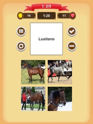 Horse Quiz screenshot