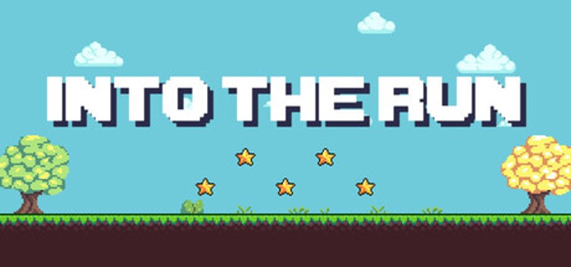 INTO THE RUN Image
