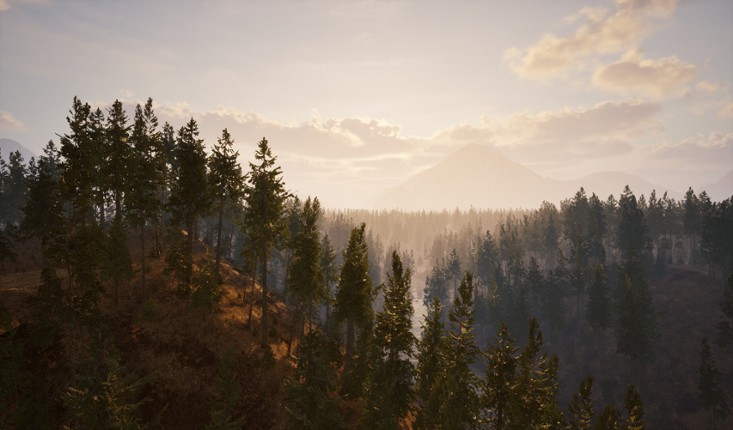 Online: 404 screenshot