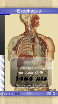 Speed Anatomy Lite (Quiz) Image