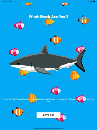 What Shark Am I? screenshot