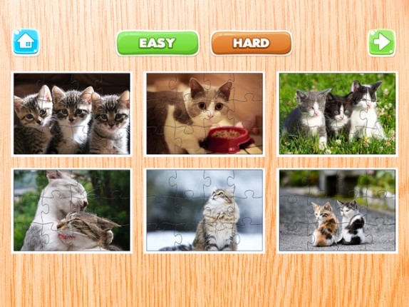 Cat Puzzle Game Animal Jigsaw Puzzles For Adults Image