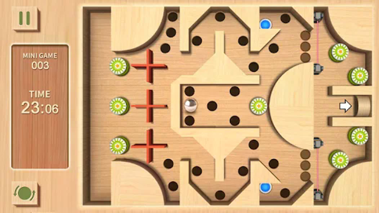 Maze Rolling Ball 3D screenshot