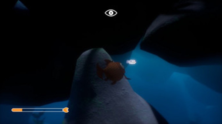 Fishy Feast Image