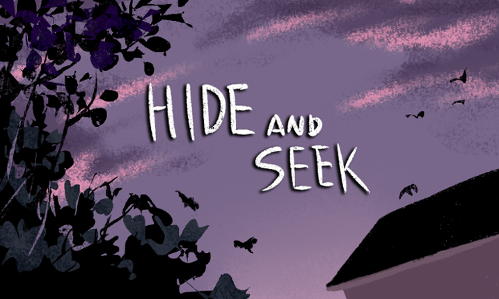 Hide and Seek Image