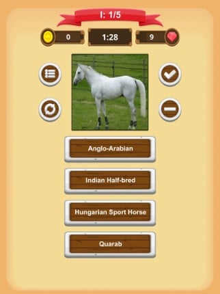 Horse Quiz screenshot