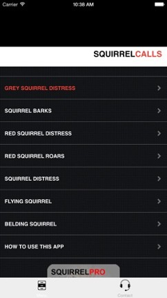 REAL Squirrel Calls and Squirrel Sounds for Hunting! Image
