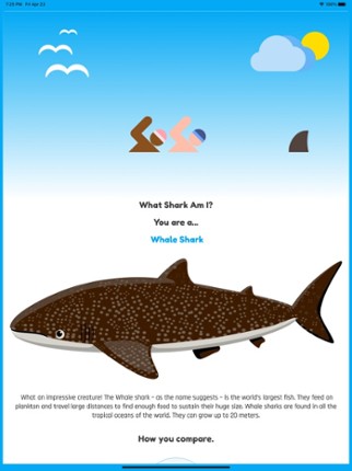 What Shark Am I? screenshot