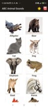 ABC Animal Sounds Image