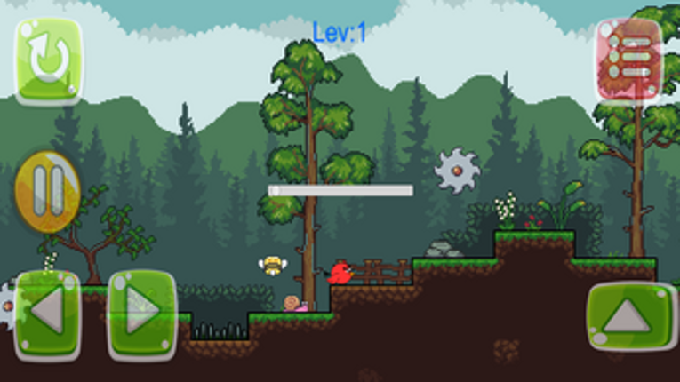 Birdall jump Image