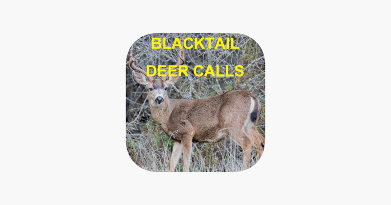 Blacktail Deer Calls Sounds Image