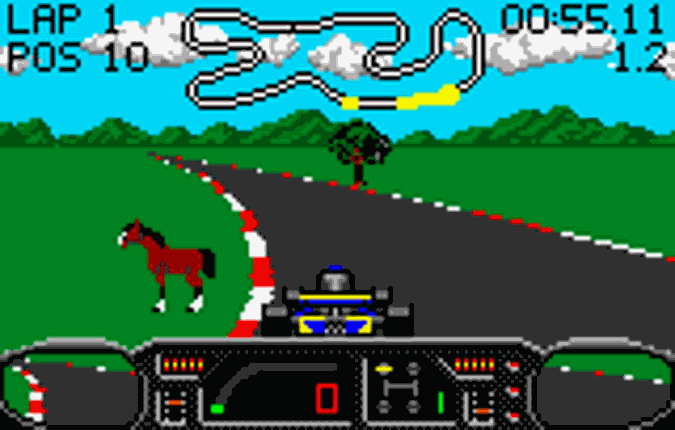 Checkered Flag Image