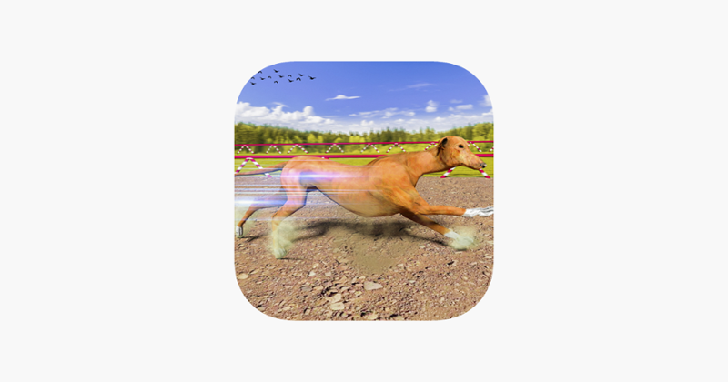 Greyhound Dog Racing Derby Image