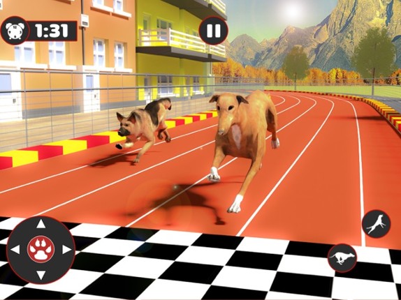 Greyhound Dog Racing Derby screenshot