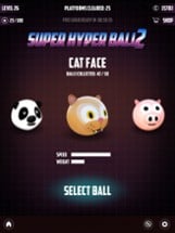 Super Hyper Ball 2 Image