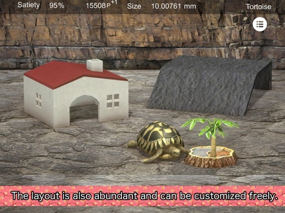 Tortoise to grow relaxedly Image