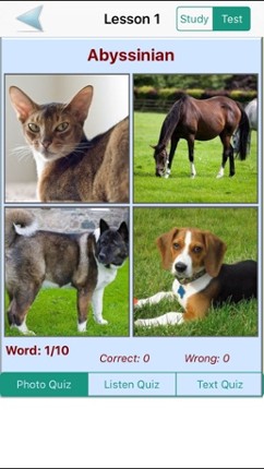 English Vocabulary With Photos Image