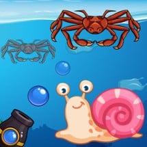 Crab Shooter Image