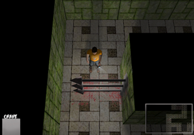 Labyrinth of Survival Image