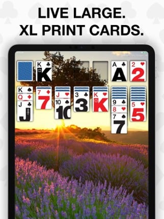 Real Solitaire Pro for iPad Image