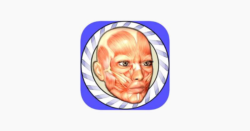 Speed Anatomy Lite (Quiz) Image