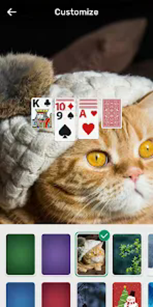 Solitaire Joy:Collect Cards Image