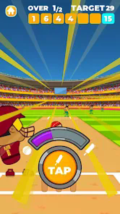 Cricket Game Image