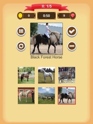 Horse Quiz screenshot