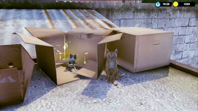 Little Strays - Havana screenshot