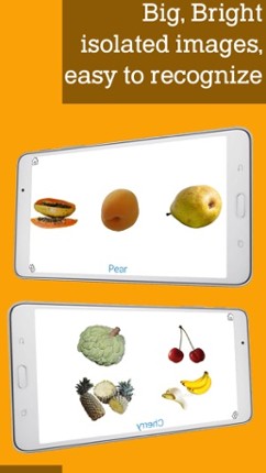 Montessori Fruits, let's learn fruits the easy way Image