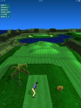 Par 3 Golf Lite Image