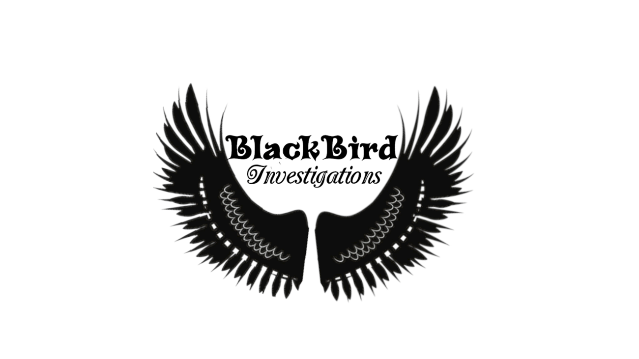 Games like BlackBird Investigation