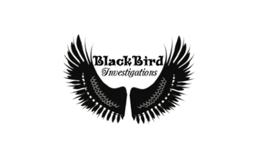 BlackBird Investigation Image