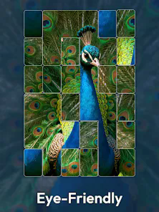 Jigmatch - Zen Puzzle Image