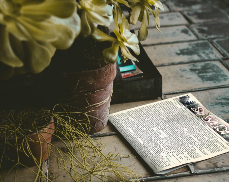 Games like Say We Do