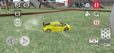 Auto Racing Driver Simulation Image