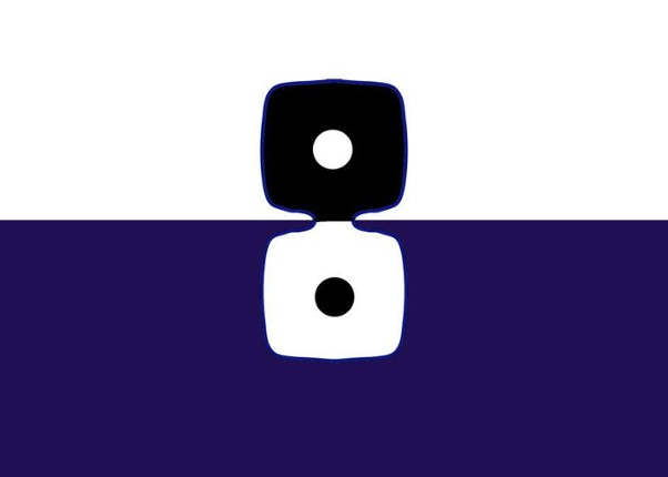 Backdoor Shifts Image