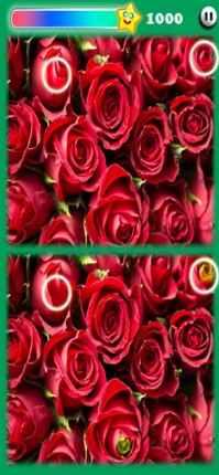 Photohut 2023 screenshot