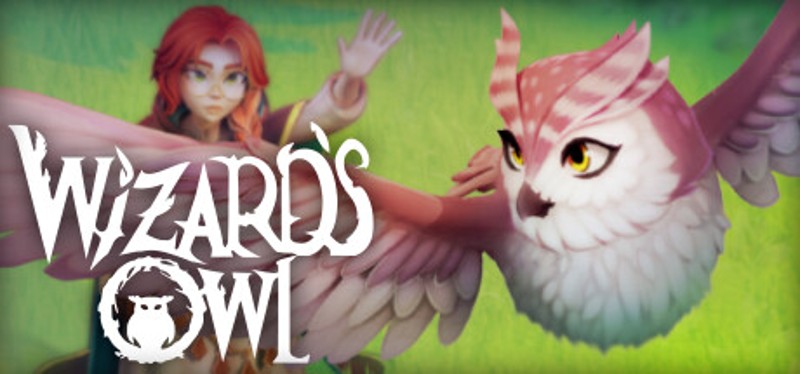 Wizards Owl: Magic Delivery Image