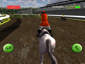 Horse Racing - Race Horses Derby 3D Image