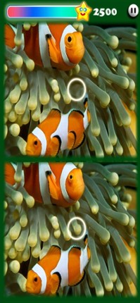 Photohut 2023 screenshot