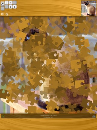 Quile Image