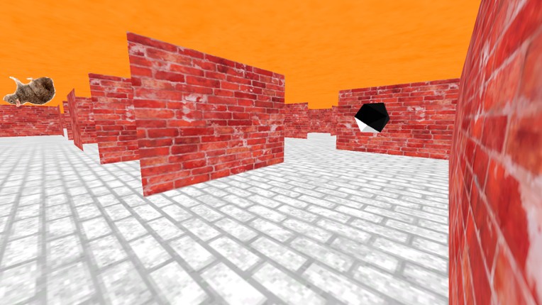 3D Maze 95 screenshot
