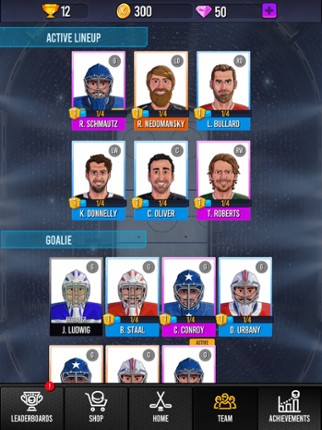 Superstar Hockey Image